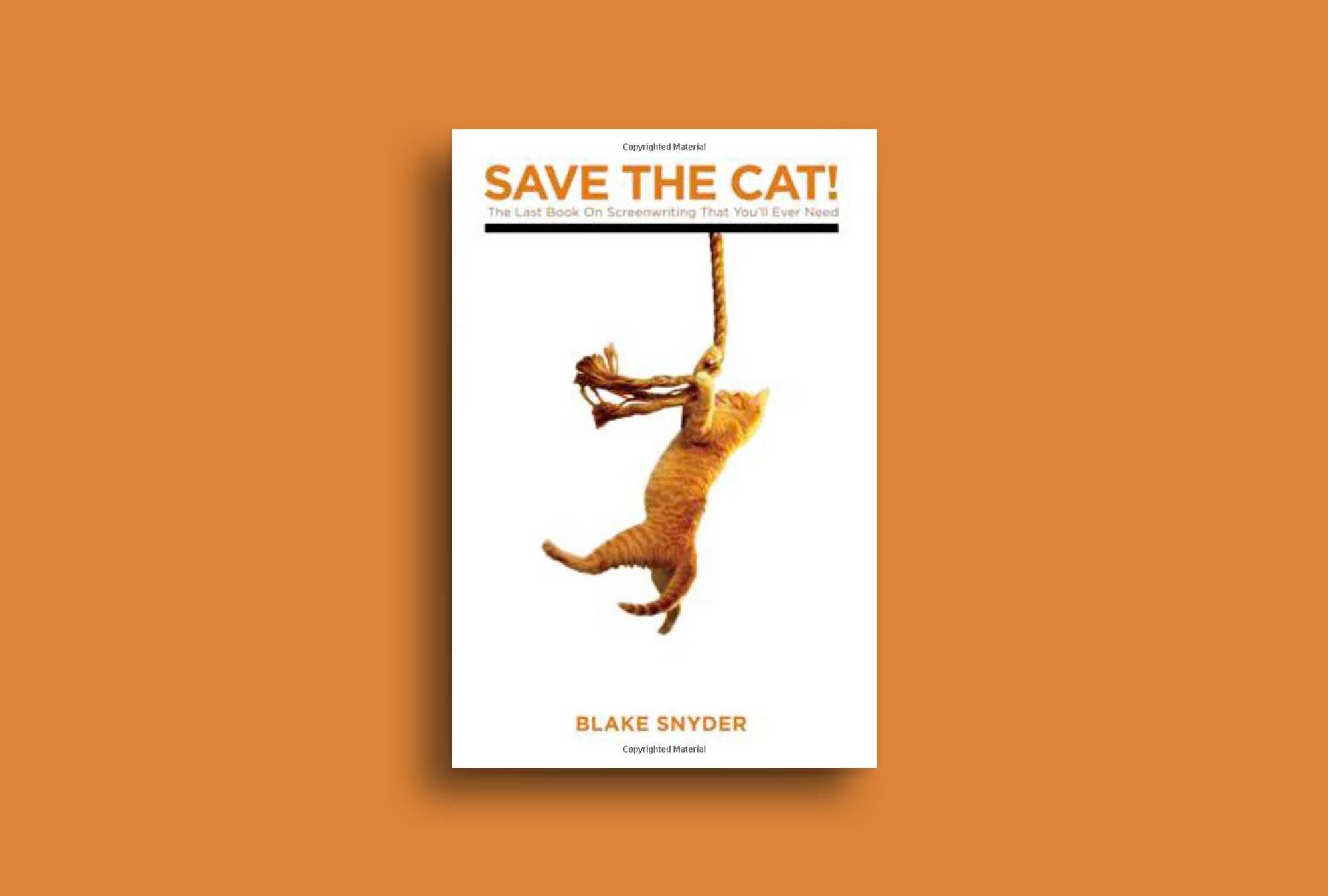 The Save the Cat book.