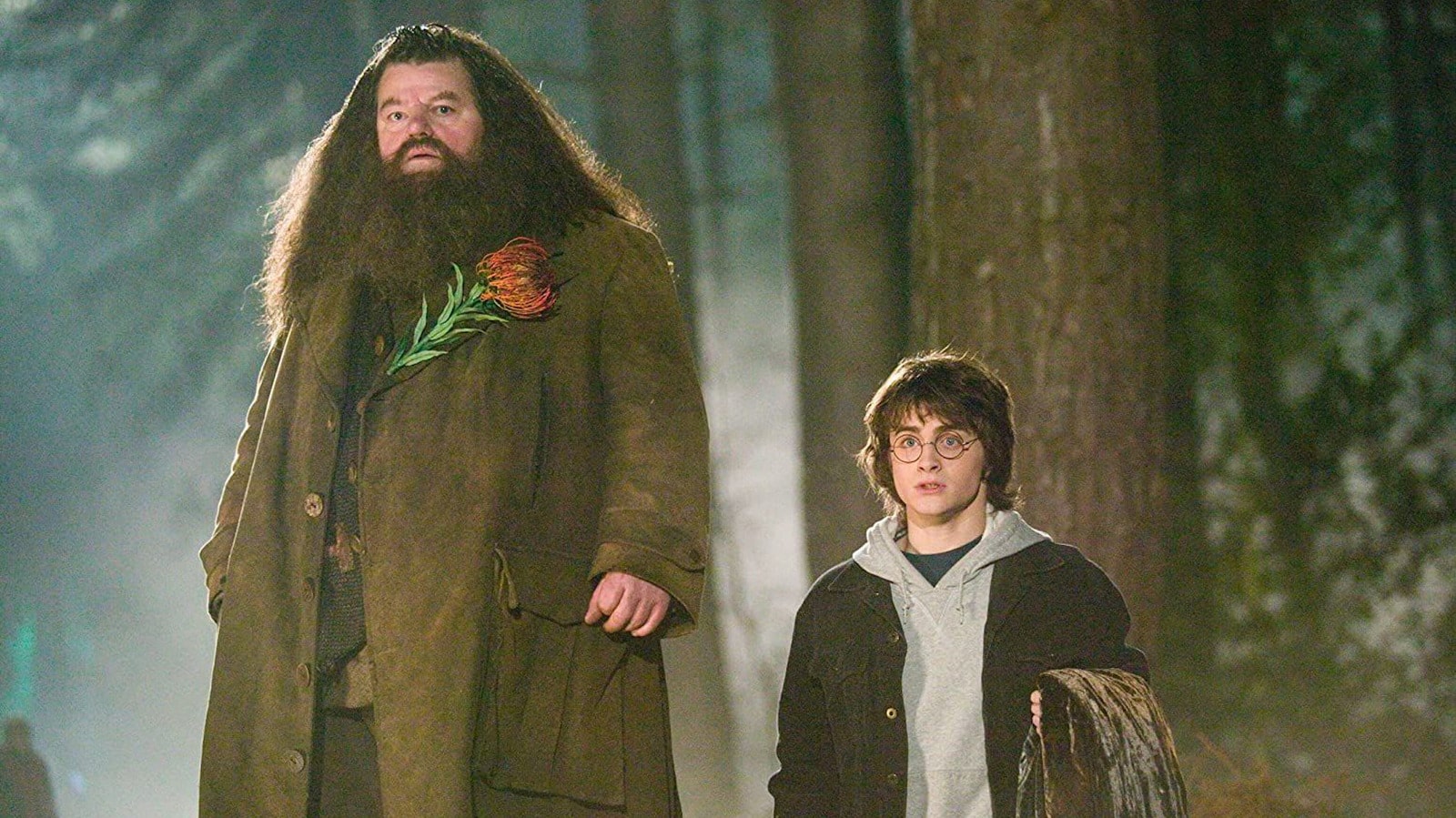 Hagrid and Harry stand together in the Forbidden Forest.